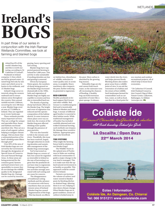 Ireland's Bog Publication Cover