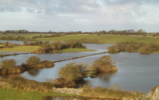 Irish Wetlands