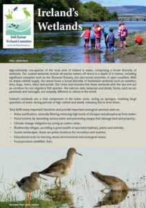Ireland's Wetlands Publication