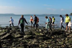 Coastwatch Survey Volunteers