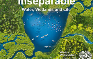 Inseparable: Water, Wetlands and Life