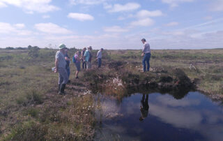 Peatlands Gathering