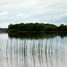 Loch an Iúir