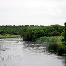 Loch Iarainn