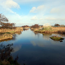 Wexford Wildfowl Reserve